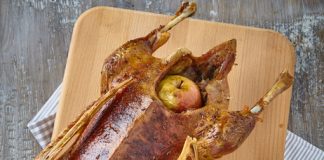 Připíjet mladými víny si můžeme až do března. Na Martina, na Štěpána, na zdraví… A na husu!