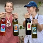 „SLOBODNÁ VÍNA“ V LONDÝNĚ