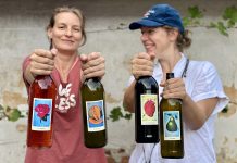 „SLOBODNÁ VÍNA“ V LONDÝNĚ