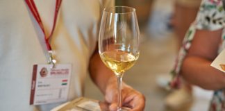 Rekordní počty ocenění pro tuzemská vína. Rok 2022 přinesl vinařům medaile i úspěchy