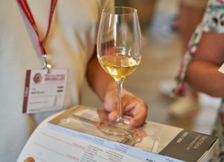 Rekordní počty ocenění pro tuzemská vína. Rok 2022 přinesl vinařům medaile i úspěchy