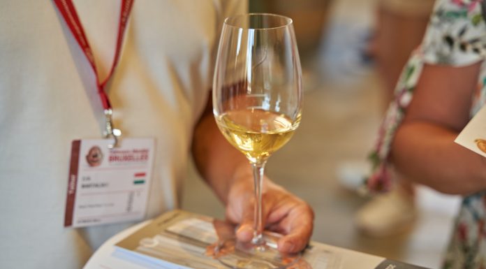 Rekordní počty ocenění pro tuzemská vína. Rok 2022 přinesl vinařům medaile i úspěchy