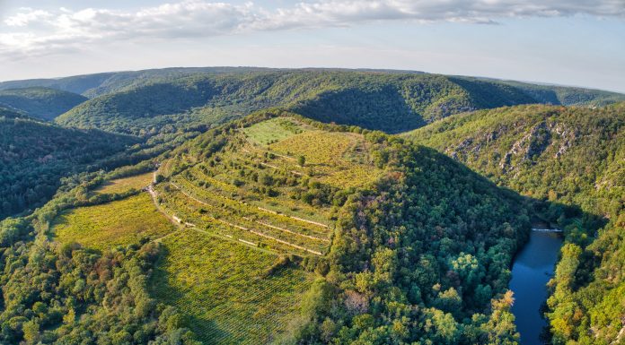 Šobes vinice VOC Znojmo jako unikát na seznam UNESCO? 