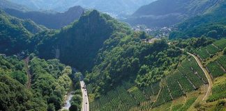 Svět pomáhá vinařům z údolí Ahr. Drtivé povodně v Německu ničily sklepy i vinice