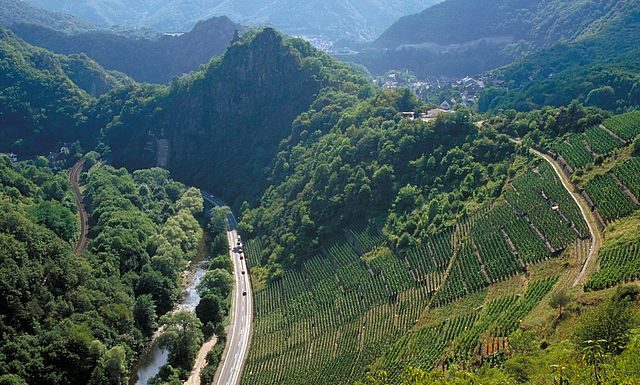 Svět pomáhá vinařům z údolí Ahr. Drtivé povodně v Německu ničily sklepy i vinice