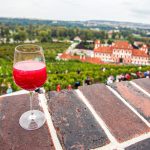 Burčák je tu. Co o něm možná ještě nevíte?