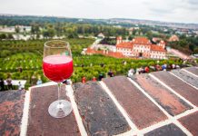 Burčák je tu. Co o něm možná ještě nevíte?