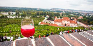 Burčák je tu. Co o něm možná ještě nevíte?