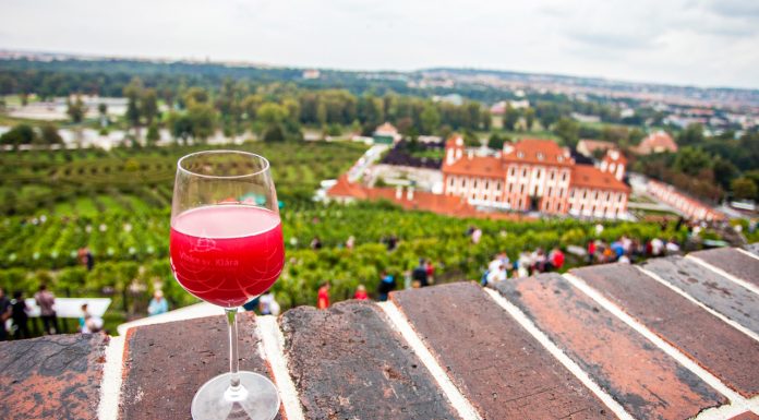 Burčák je tu. Co o něm možná ještě nevíte?