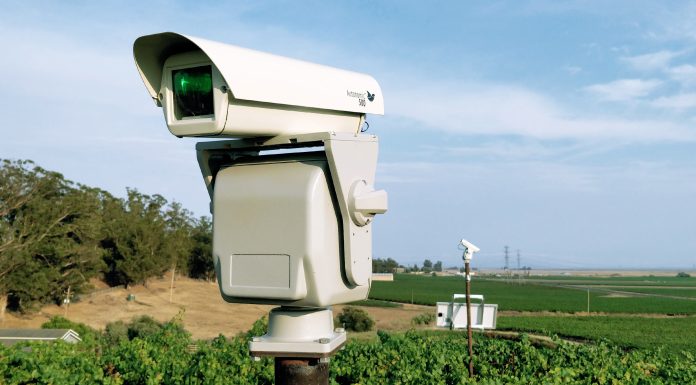 Stop špačkům na vinicích. Plašiče třetího tisíciletí fungují a lidi neruší