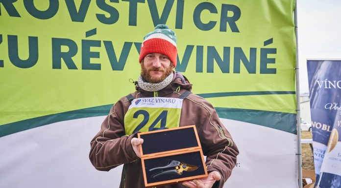 Titul šampiona v řezu révy vinné putuje do Valtic. Již podruhé zvítězil Václav Macháček z Vinařství Procházka