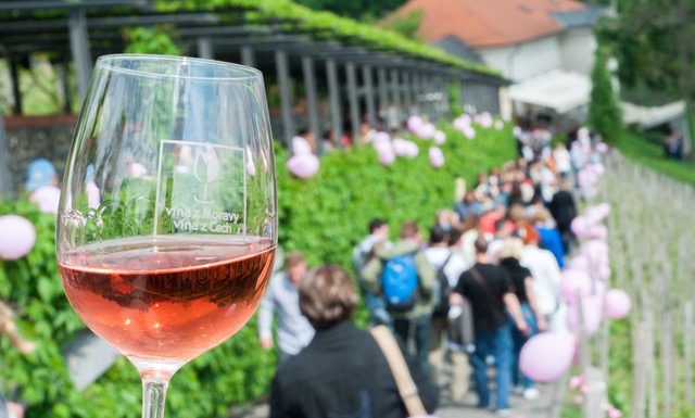 První máj v růžovém