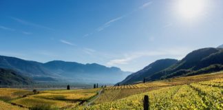 Objevte chutě, vůně a barvy podzimu v Jižním Tyrolsku. Za vínem, špekem i kaštany