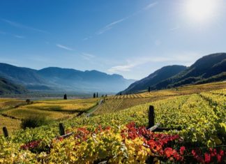 Objevte chutě, vůně a barvy podzimu v Jižním Tyrolsku. Za vínem, špekem i kaštany