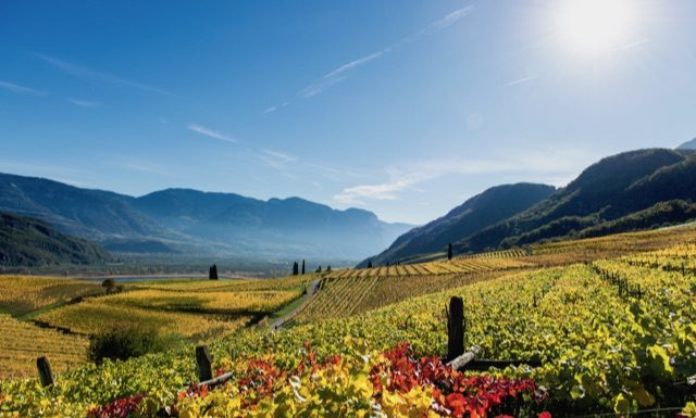 Objevte chutě, vůně a barvy podzimu v Jižním Tyrolsku. Za vínem, špekem i kaštany