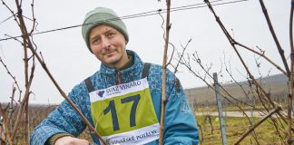 Ovace jako na Olympiádě. Letošním mistrem v řezu révy vinné je pedagog z Rajhradu Jan Schoř