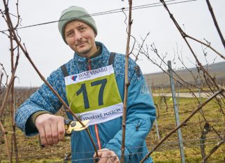 Ovace jako na Olympiádě. Letošním mistrem v řezu révy vinné je pedagog z Rajhradu Jan Schoř