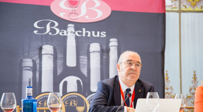 BACCHUS MADRID 2023: Titul pro nejlepšího enologa a 34 medailí putuje do České republiky Madrid Bacchus Competition