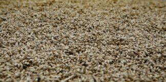 Britští královští dodavatelé v nejistotě a Rosebank Distillery opět ve hře