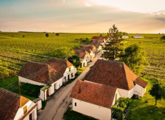 Podzim ve vinicích. Rakouský Retz nabízí největší sklepní labyrint v Evropě i kašny plné vína Sklepní ulička Zellendorf ve Weinviertelu