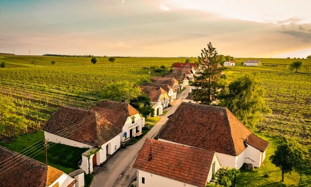 Podzim ve vinicích. Rakouský Retz nabízí největší sklepní labyrint v Evropě i kašny plné vína Sklepní ulička Zellendorf ve Weinviertelu