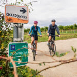 Weinberge-Ober-Mitterretzbach-5518-c-Weinviertel-Tourismus_www.pov_.at_