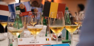 Sladká tečka a 3x zlato pro Moravu. Jubilejní 30. ročník soutěže CMB uzavřela sladká a fortifikovaná vína soutěž vín