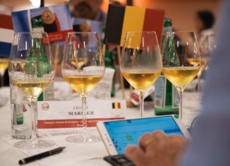 Sladká tečka a 3x zlato pro Moravu. Jubilejní 30. ročník soutěže CMB uzavřela sladká a fortifikovaná vína soutěž vín