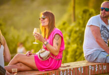 ZNOJEMSKÉ VINOBRANÍ. Letos slaví jubilejní 40. ročník