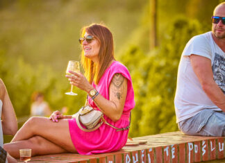 ZNOJEMSKÉ VINOBRANÍ. Letos slaví jubilejní 40. ročník