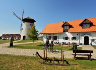 Bukovanský mlýn nejoblíbenější zastávkou milovníků vína. TOP vinařský cíl 2023 zná vítěze