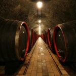CHATEAU-VALTICE_05