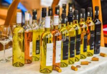 Husa a víno opět na náplavce. Kam na Martina? mladá vína na náplavce