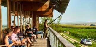 Soutěž Vinařství roku 2023 jde do finále Vinařství Sonberk