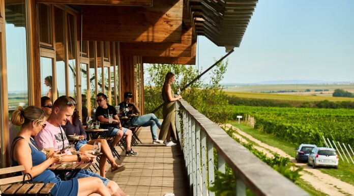 Soutěž Vinařství roku 2023 jde do finále Vinařství Sonberk