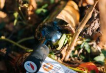 Svěží a ovocitá, z vyzrálých hroznů. Taková jsou Svatomartinská vína 2023. Jejich čas přichází První vína 2023