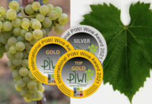 SAPHIRA z Moravy královnou PIWI odrůd. Nejen odolná, ale i nejkrásnější