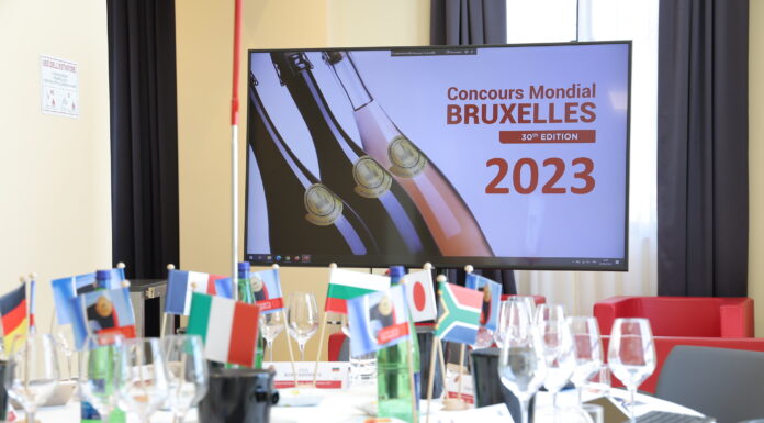 Medailová smršť 2023. Naši vinaři vloni získali na světové scéně přes 1200 medailí