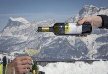 Za lyžemi a vínem levněji.  Wine Safari a prodloužená sezóna v Jižním Tyrolsku Vína na sjezdovkách Alta Badie
