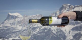 Za lyžemi a vínem levněji.  Wine Safari a prodloužená sezóna v Jižním Tyrolsku Vína na sjezdovkách Alta Badie