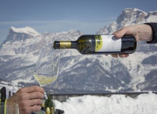 Za lyžemi a vínem levněji. Wine Safari a prodloužená sezóna v Jižním Tyrolsku Vína na sjezdovkách Alta Badie