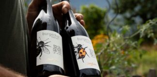 PIWI v hlavní roli aneb „Země potřebuje novou révu!“ Tak pěstují víno na Burgerhof Messner nad Brixenem lahve vína vinařtví Burgenhof