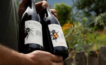 PIWI v hlavní roli aneb „Země potřebuje novou révu!“ Tak pěstují víno na Burgerhof Messner nad Brixenem lahve vína vinařtví Burgenhof