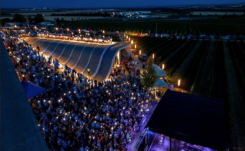 Víno a živá muzika. Snoubení, které funguje! Hudba na vinicích slaví páté narozeniny Koncerty na vinicích