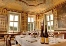 DOMÄNE WACHAU vinařstvím roku 2024. Falstaff vyhlásil vítěze