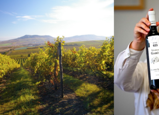 Levý versus pravý břeh. Moravský vinařský Wimbledon vyhrála vinařství Vajbar a Garčic Vítězné víno Vinařských trhů Valtice