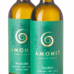 anno-vino-019-1