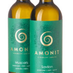 anno vino – 019