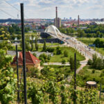vinice_aktualizace-021