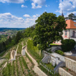 vinice_aktualizace-034